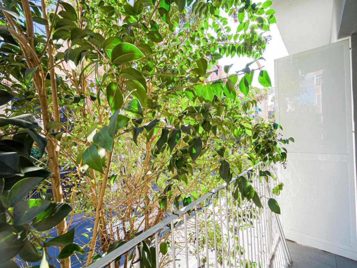 אליקאנטה Hostal Jireh מראה חיצוני תמונה